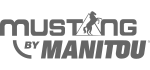 Логотип MUSTANG